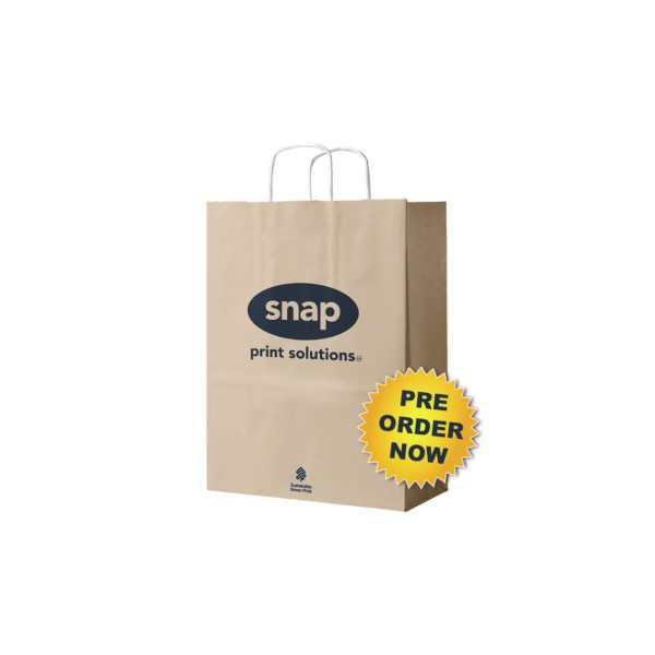 Branded Paper Carry Bag - Large